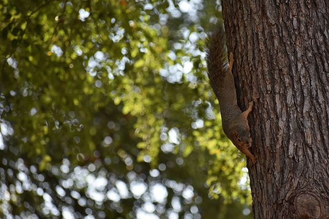 也让她成为 也让她成为