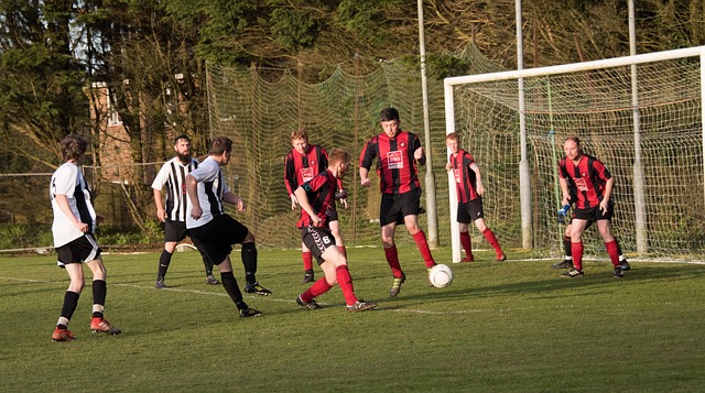 的理想场地 的理想场地