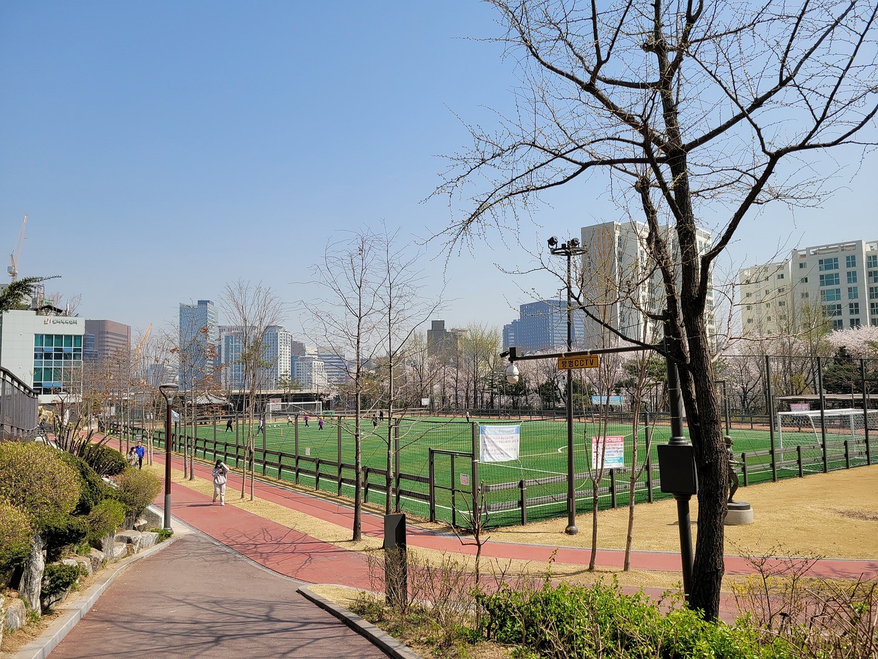 他将需要面 他将需要面