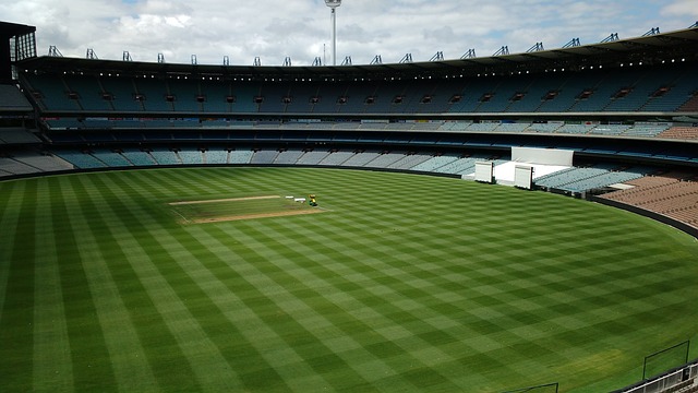 的大幅增长 的大幅增长