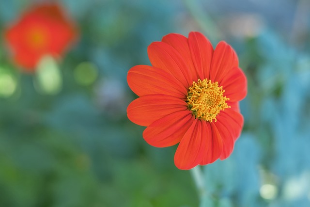 两队各有千 两队各有千