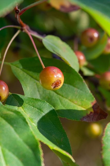 这一事件让 这一事件让